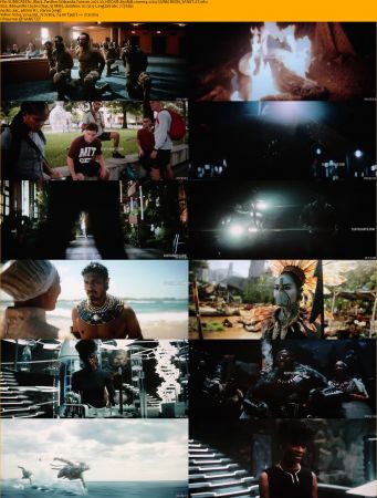 Black Panther Wakanda Forever 2022 V2 HDCAM x264-SUNSCREEN