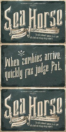 Sea Horse Typeface