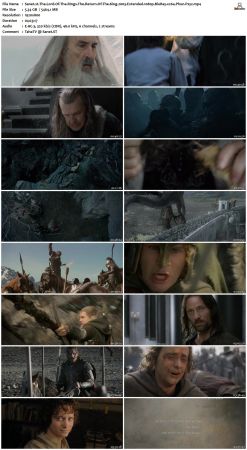 The Lord Of The Rings The Return Of The King 2003 Extended 1080p BluRay x264 Phun Psyz