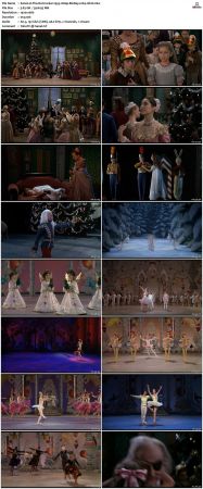 The Nutcracker 1993 1080p BluRay x264-nikt0