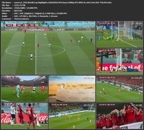 FIFA World Cup Highlights S2022E02 FIFA Day2 1080p RTE WEB-DL H 264-TEiLiFiS