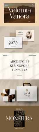 Velomia Vanora Modern Serif Font