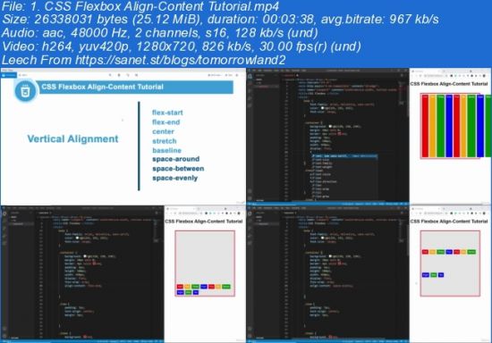CSS Flexbox (2023)