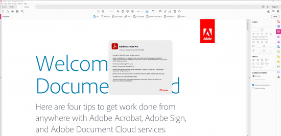 Adobe Acrobat Pro DC 2022.003.20282 (x86) Multilingual