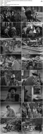 Abbott And Costello Ride Em Cowboy 1942 1080p BluRay H264 AC3 DD2.0 Will1869