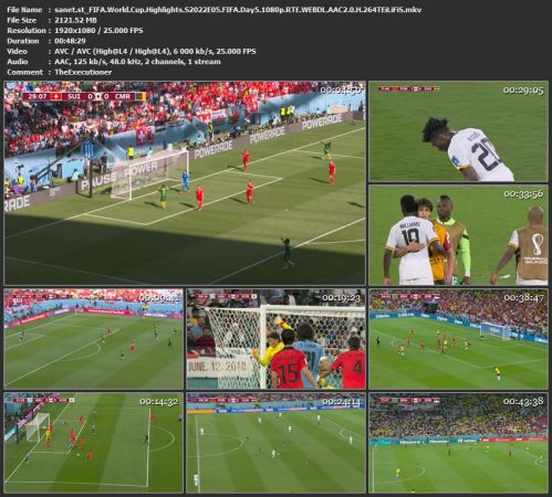 FIFA World Cup Highlights S2022E05 FIFA Day5 1080p RTE WEB-DL H 264-TEiLiFiS