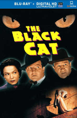 The Black Cat 1941 1080p BluRay x264 DTS-FGT
