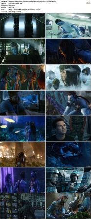 Avatar 2009 Extended 1080p BluRay 10Bit X265 DD5.1-Chivaman
