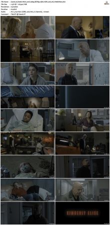 Death Wish 2018 1080p BDRip 10bit HDR x265 AC3-Webhiker