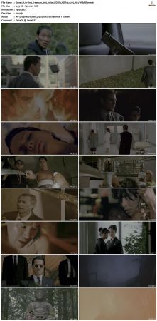 Crying Freeman 1995 1080p BDRip HDR10 x265 AC3-Webhiker