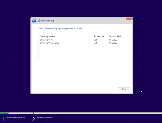 Windows 11 Pro &amp; Enterprise Insider Build 25236.1000 x64 Pre-Activated (No TPM Required) 2022