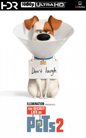The Secret Life of Pets 2 2019 1080p BDRip 10bit HDR x265 AC3-Webhiker