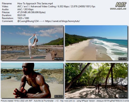 AloMoves - Alo In the Wild Costa Rica