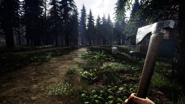 Mist Survival v0.5.2 Early Access