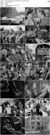 The Way Ahead 1944 1080p BluRay Flac 2.0 x265 HEVC-Nb8