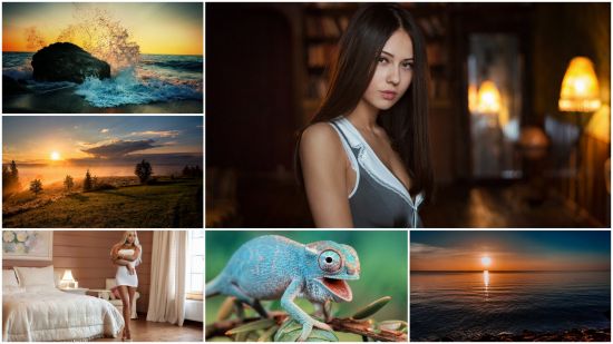 Collections HD Wallpapers No. 938