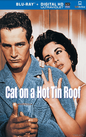 Cat On A Hot Tin Roof 1958 1080p BluRay AC3 2.0 x265 HEVC-Nb8