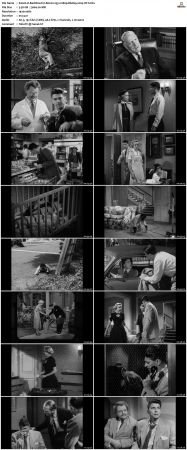 Bedtime for Bonzo 1951 1080p BluRay x264-OFT
