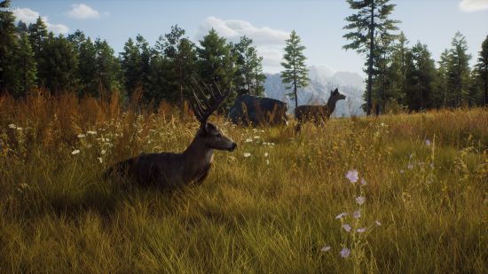 Way of the Hunter v1.20 + Hunter’s Pack DLC + Windows 7 FixFitGirl Repack