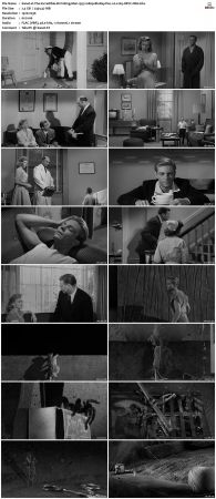 The Incredible Shrinking Man 1957 1080p BluRay Flac 1.0 x265 HEVC-Nb8