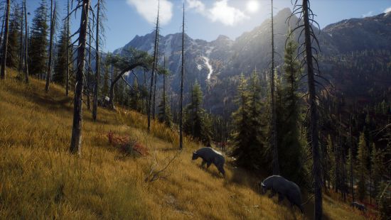 Way of the Hunter v1.20 + Hunter’s Pack DLC + Windows 7 FixFitGirl Repack