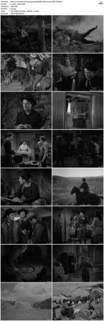 Colorado Territory 1949 1080p BluRay Flac 1.0 x265 HEVC-Nb8