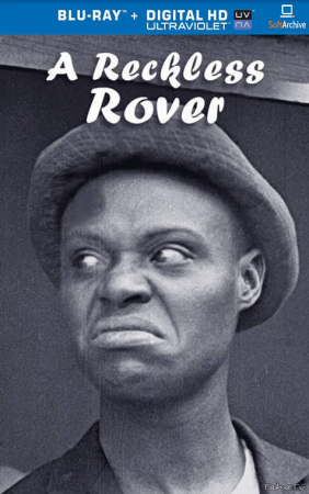 A Reckless Rover 1918 1080p BluRay x264-nikt0