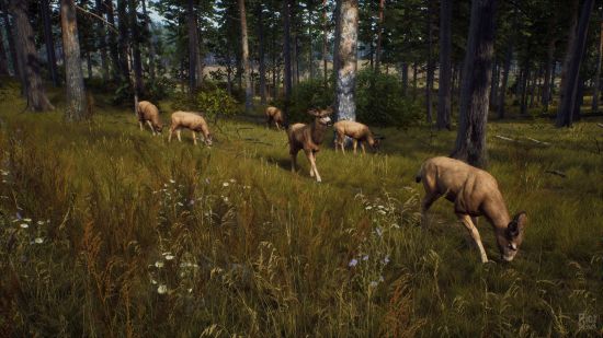 Way of the Hunter v1.20 + Hunter’s Pack DLC + Windows 7 FixFitGirl Repack