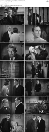 The Raven 1935 1080p BluRay x264-GUACAMOLE
