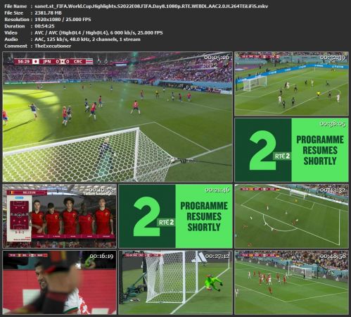 FIFA World Cup Highlights S2022E08 FIFA Day8 1080p RTE WEB-DL H 264-TEiLiFiS