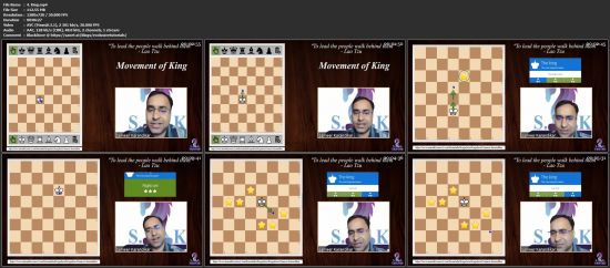 Chess for Beginners