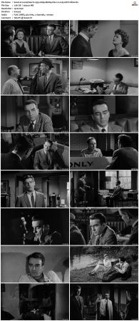 Lonelyhearts 1958 1080p BluRay Flac 2.0 x265 HEVC-Nb8