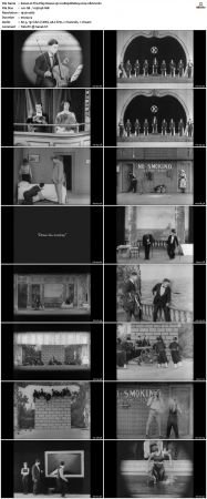 The Play House 1921 1080p BluRay x264-nikt0