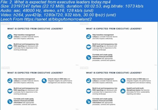 ESG in Executive Leaders' Agenda: Reporting and Analytics