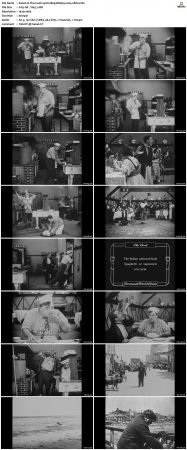 The Cook 1918 1080p BluRay x264-nikt0