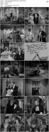 Zenobia 1939 1080p BluRay Flac 2.0 x265 HEVC-Nb8
