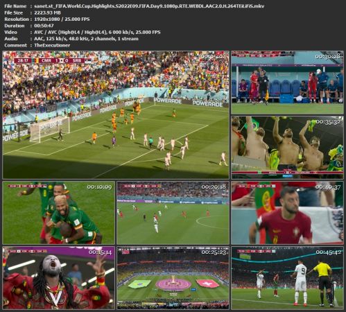 FIFA World Cup Highlights S2022E09 FIFA Day9 1080p RTE WEB-DL H 264-TEiLiFiS