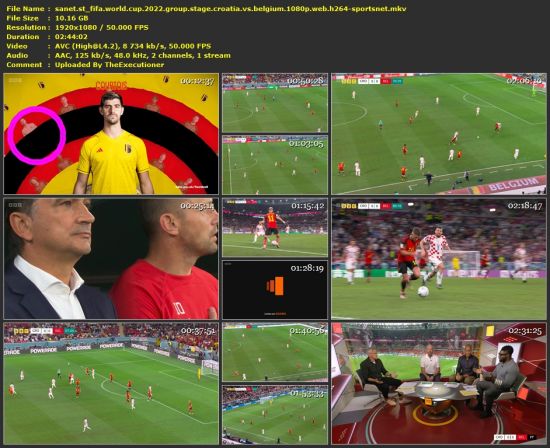 FIFA World Cup 2022 Group Stage Croatia Vs Belgium 1080p WEB H264-SPORTSNET