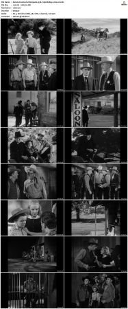 Santa Fe Stampede 1938 720p BluRay x264-x0r