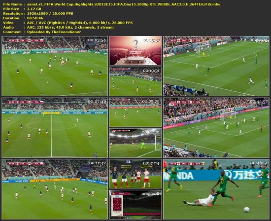 FIFA World Cup Highlights S2022E15 FIFA Day15 1080p RTE WEB-DL H 264-TEiLiFiS