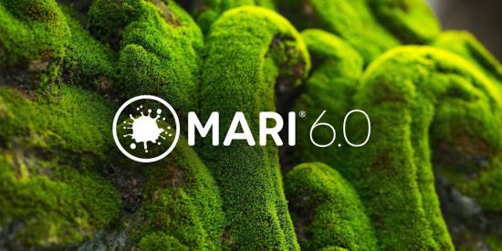 The Foundry Mari 6.0v2 (x64)