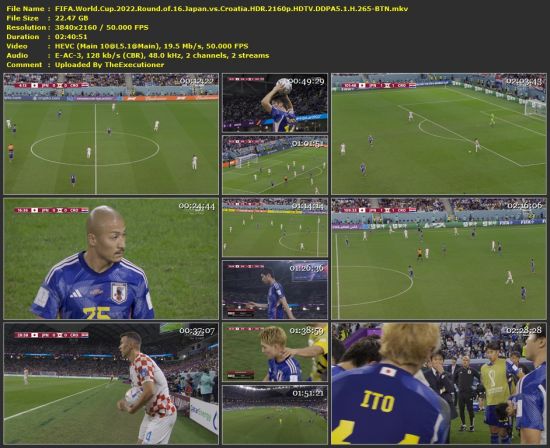 FIFA World Cup 2022 Round of 16 Japan vs Croatia HDR 2160p HDTV DDPA5 1 H 265-BTN