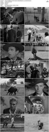 Bullfighter And The Lady 1951 1080p BluRay Flac 1.0 x265 HEVC-Nb8