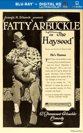 The Hayseed 1919 1080p BluRay x264-nikt0