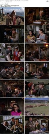 National Velvet 1944 1080p BluRay Flac 2.0 x265 HEVC-Nb8