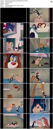 The Counterfeit Cat 1949 1080p BluRay x264-nikt0