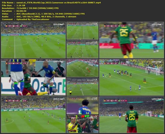 FIFA World Cup 2022 Cameroon vs Brazil HDTV x264-SANET
