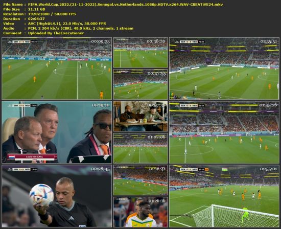 FIFA World Cup 2022 Senegal vs Netherlands 1080p HDTV x264 WAV-CREATiVE24