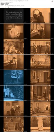 The Haunted House 1921 1080p BluRay x264-nikt0