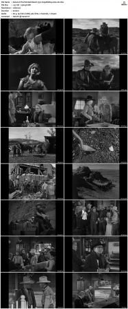 The Painted Desert 1931 720p BluRay x264-x0r